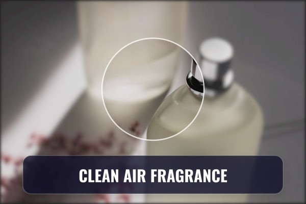 clean sheet fragrance