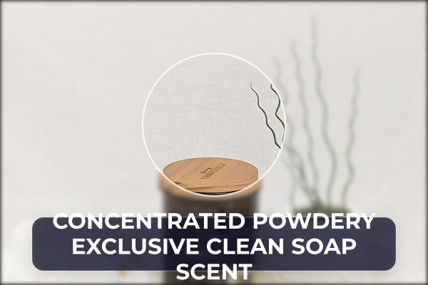 concentrated powdery exclusive clean soap scent