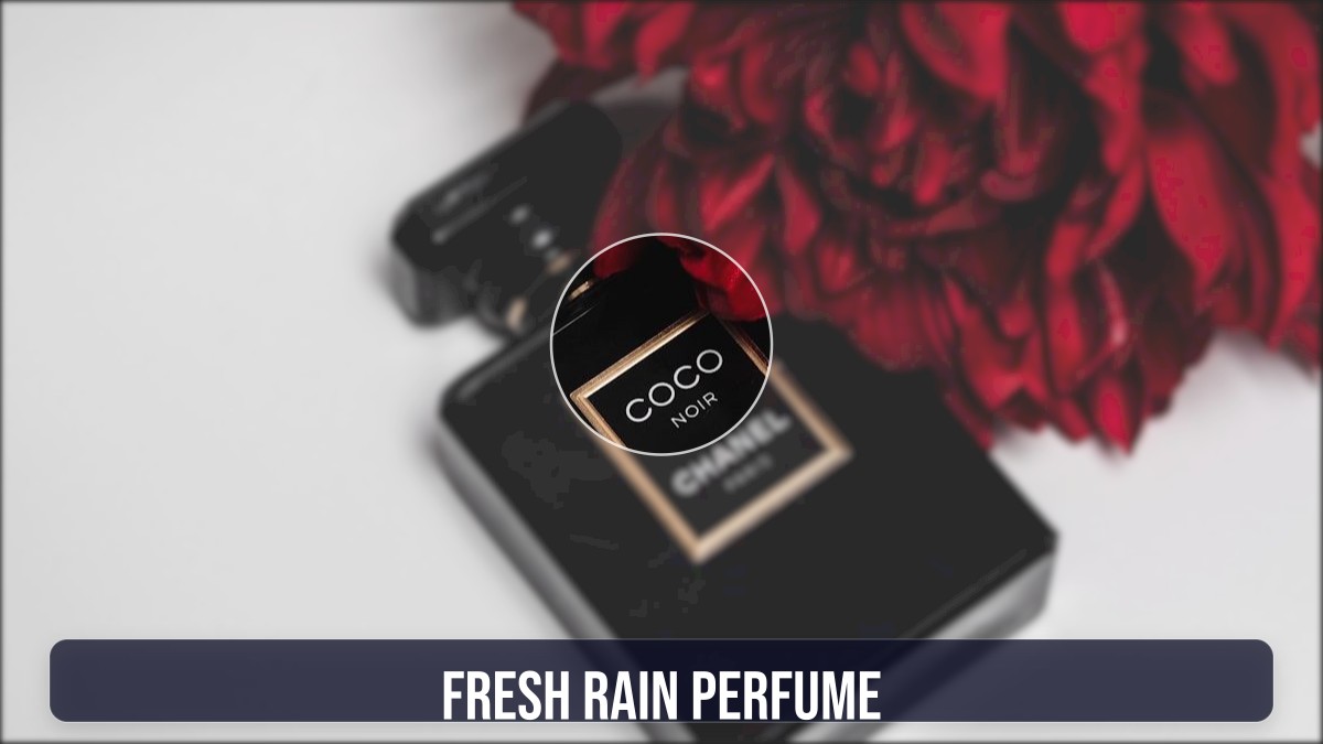 fresh rain perfume