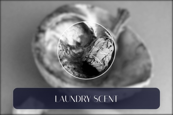 laundry scent