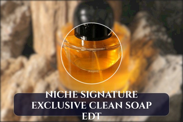 niche signature exclusive clean soap edt