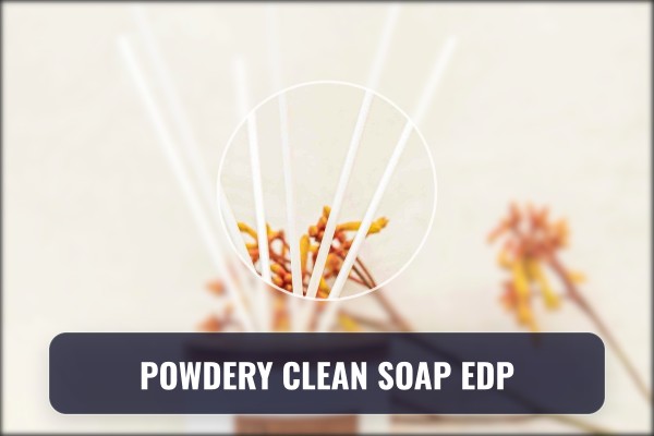 powdery clean soap edp
