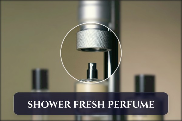 clean sheet fragrance