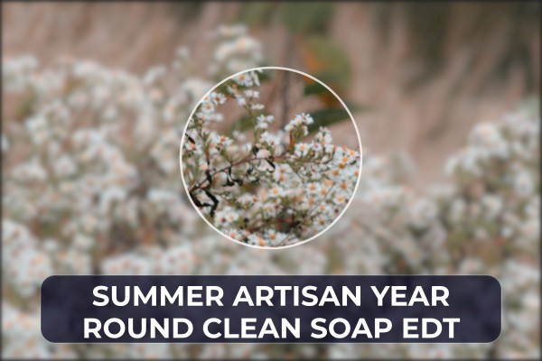 summer artisan year-round clean soap edt