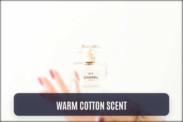 warm cotton scent