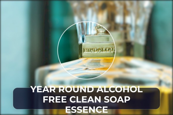 year-round alcohol free clean soap essence